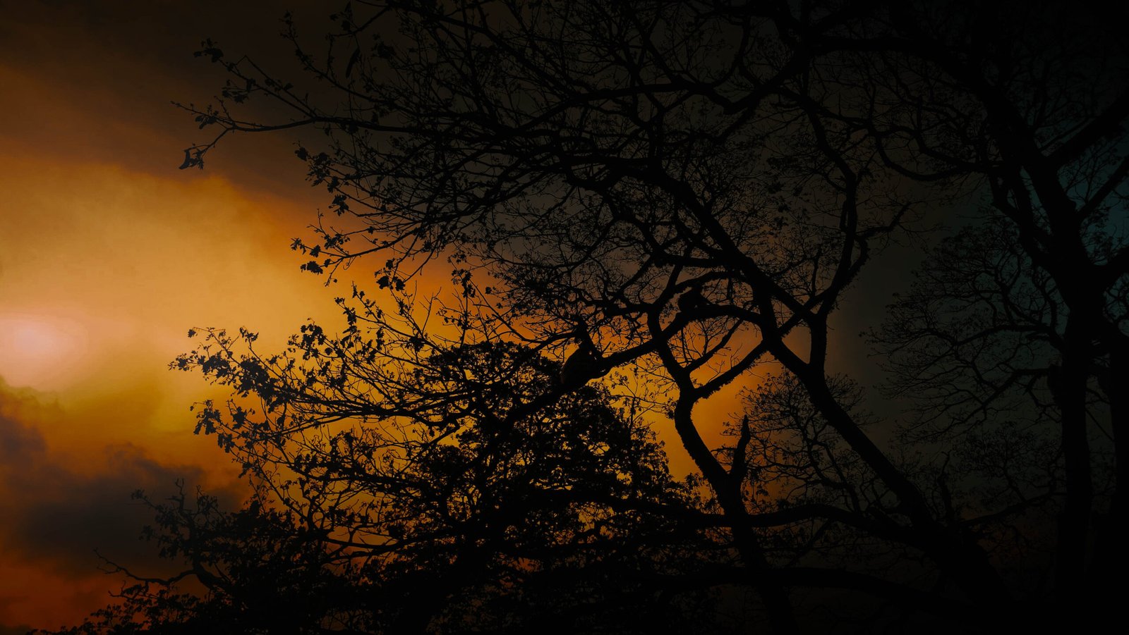 Sunset 3